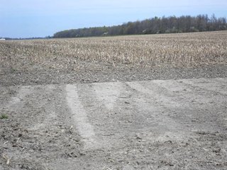 <li> 342.76 Acres with 333 +- acres of high quality cropland in excellent condition.
<li> 9+- Acres roads, ditches, and woodland.
<li> 6 tax parcels offered in (2) farms being mainly contiguous.
<li> Frontage on numerous Randolph County roads and easy access to US 27, SR 36 and only 15 miles north of I-70.
<li> Easy operation with generally rectangular fields.
<li> Premium Soils with the predominant soils being Patton Silty clay loam, Fincastle-Crosby, and Celina silt loams.
<li> Owner will cooperate in buyerÃƒÆ'Ã‚Â¢ÃƒÂ¢Ã¢â‚¬Å¡Ã‚Â¬ÃƒÂ¢Ã¢â‚¬Å¾Ã‚Â¢s tax exchange.
<li> Farms have been owned by same Estate for over 50 years and are under excellent operations and are in very good conditions.
<li> 20 Miles to (2) Ethanol Plants, Strong local grain markets.
<li> Offered as (2) separate farms.
<li> USDA payment of $20/acre (2012).
<li> Offered at:
		$8,450 /Acre or
		FARM 1: $1,335,100.00
		FARM 2:  $1,561,222.00
<br>
All offers will be subject to a FIRST RIGHT OF REFUSAL per will of Donamae Banning. - Prime Indiana Cropland - 342.76 Acres Offered in 2 Separate Farms